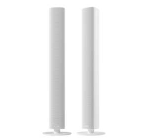 Piega Ace 50 Wireless wit