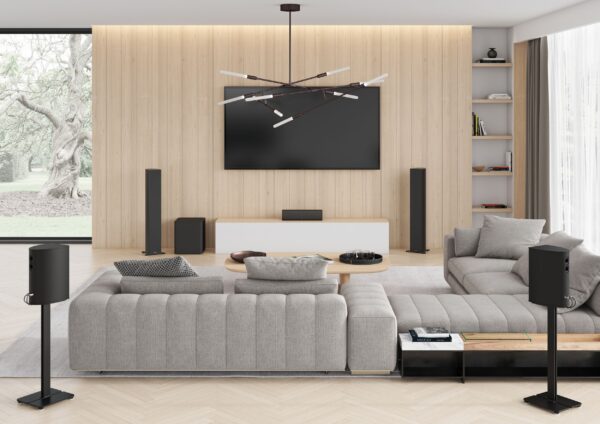 piega_home-cinema-setting-premium piega_home-cinema-setting-premium